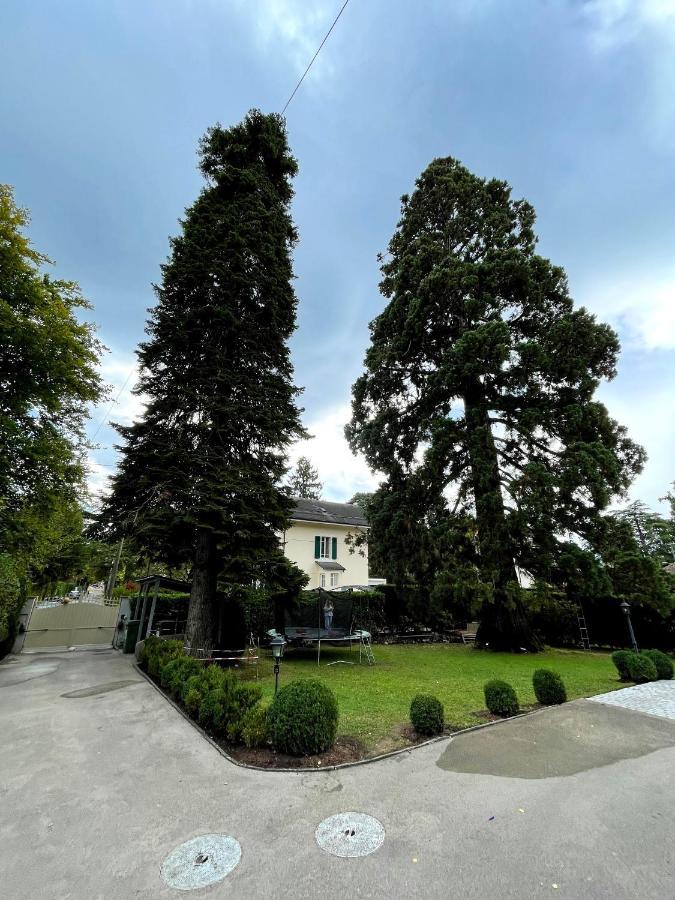 Residence Mont-Blanc Genève Buitenkant foto